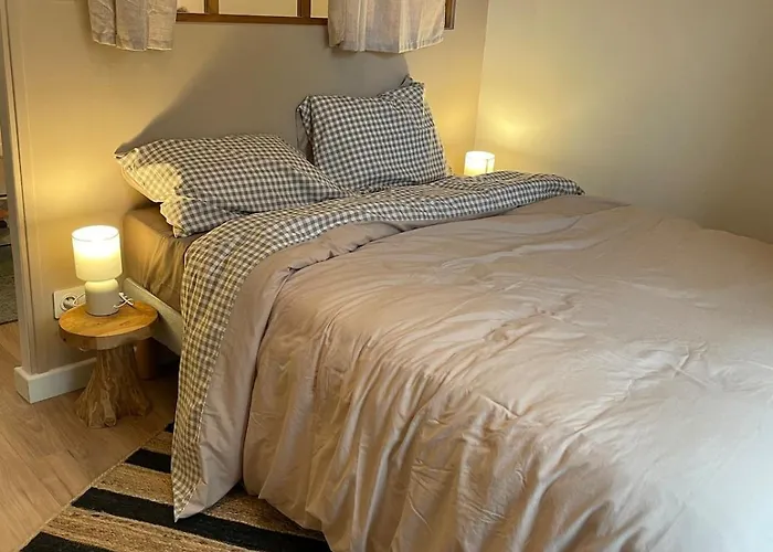 Beautiful Angevin Анже